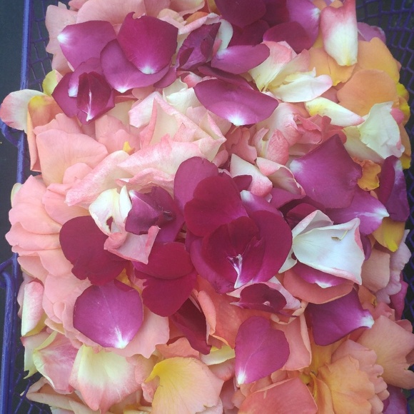 Meet your Posher, Kendra - Picture 1 of 1